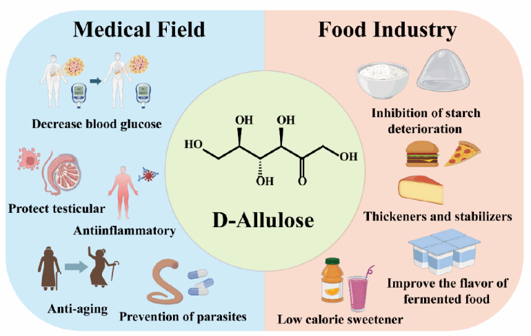 1756432971919308.png 1756432971919308.png