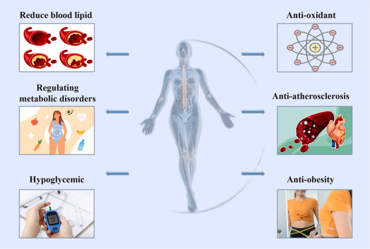 1759628604215037.png 1759628604215037.png