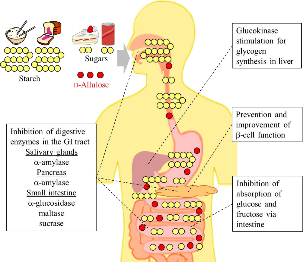 1759628808433521.png 1759628808433521.png