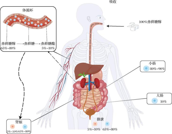 1763080384476769.png 1763080384476769.png